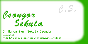 csongor sekula business card